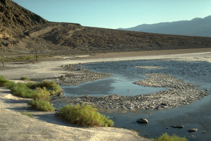 Badwater Spring and fault scarp