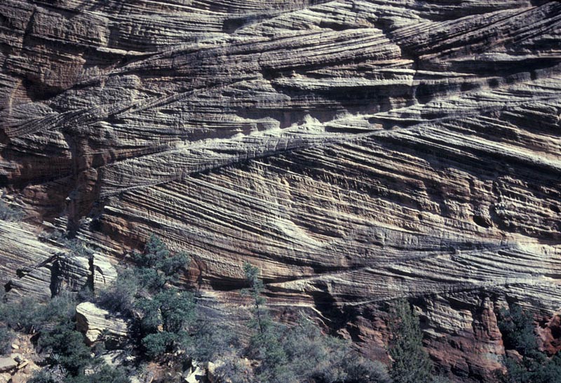 Eolian cross-beds in Jurassic Navajo Sandstone, Zion National Park, Utah.