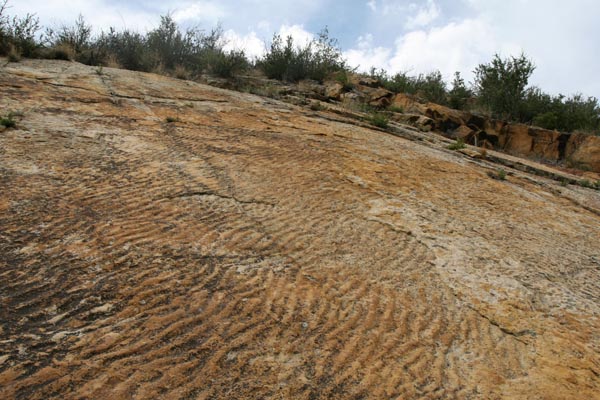 Ripple marks in Cretaceous Dakota Formation, Colorado.