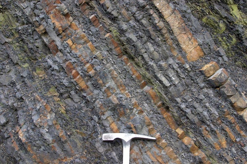 Alternating beds of sandstone and shale--Turbidites.  Pacifica, California.  Photo by Marli Bryant Miller