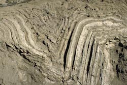 Folded sedimentary rock adjacent to San Andreas fault