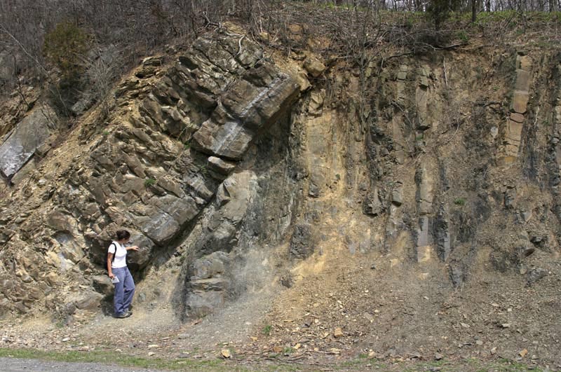 Taconic unconformity