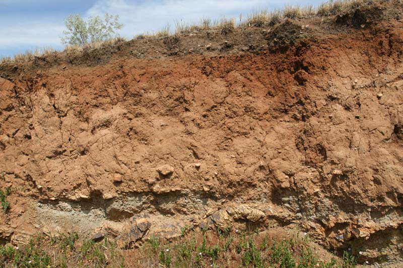 photo of soil profile in grassland