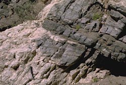 Pegmatite intruding Precambrian gneiss